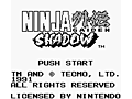 Jugar Ninja Gaiden Shadow online